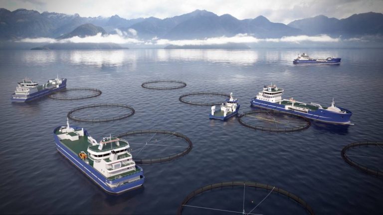 DESS Aquaculture inks contract for two new wellboats