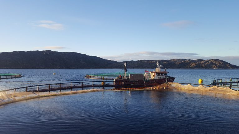 Russian Aquaculture’s production up by more than 6X so far this year