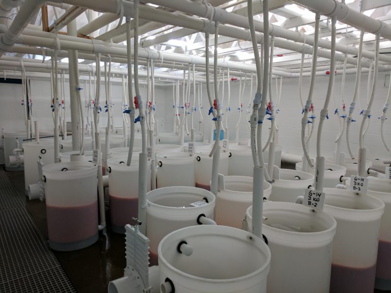 Hendrix Genetics opens new trout egg incubation facility