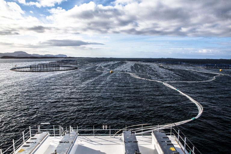 Marine Harvest to distribute €168m in quarterly dividend