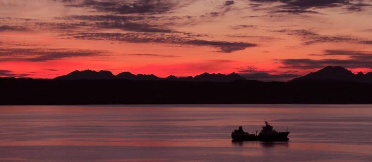 Substantial investment pays off for Marine Harvest Scotland