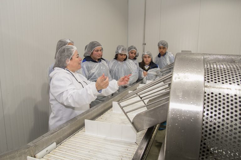 Blumar Seafoods EBITDA up by 280 percent