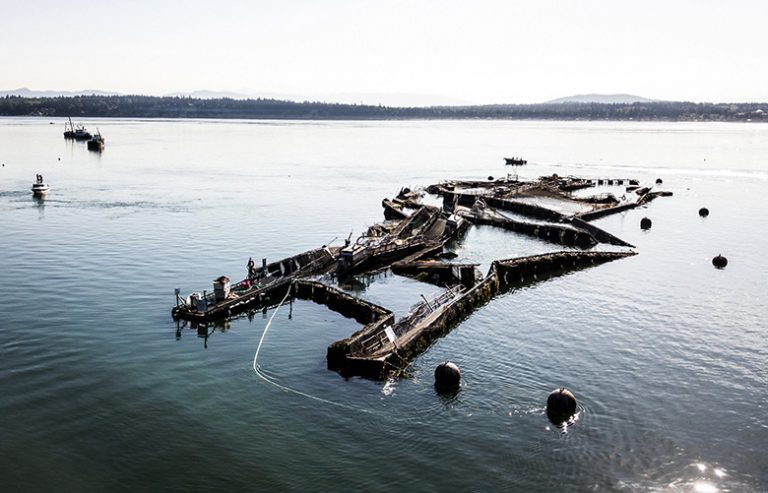 Flaws found in structure of Cooke Aquaculture’s pens in Rich Passage
