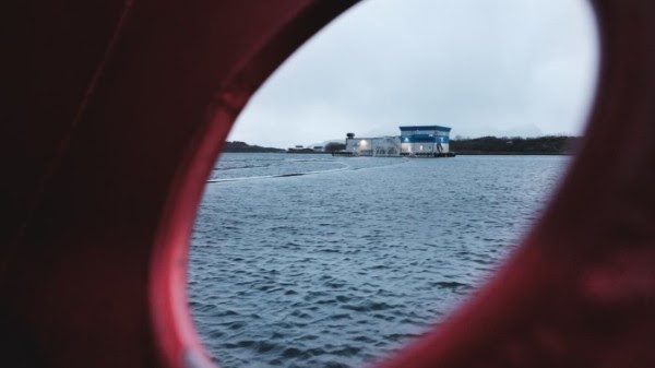 Cermaq rated most transparent salmon farming company