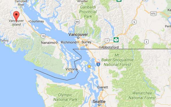 Concern raised over escaped salmon crossing Canadian border