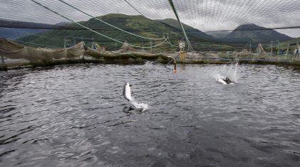 Marine Harvest Loch Leven Farm-5300 – Copy-1