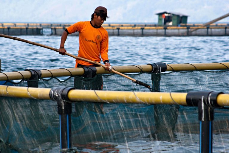 Anne-Marie Kats leaves Dutch Fish federation for ASC