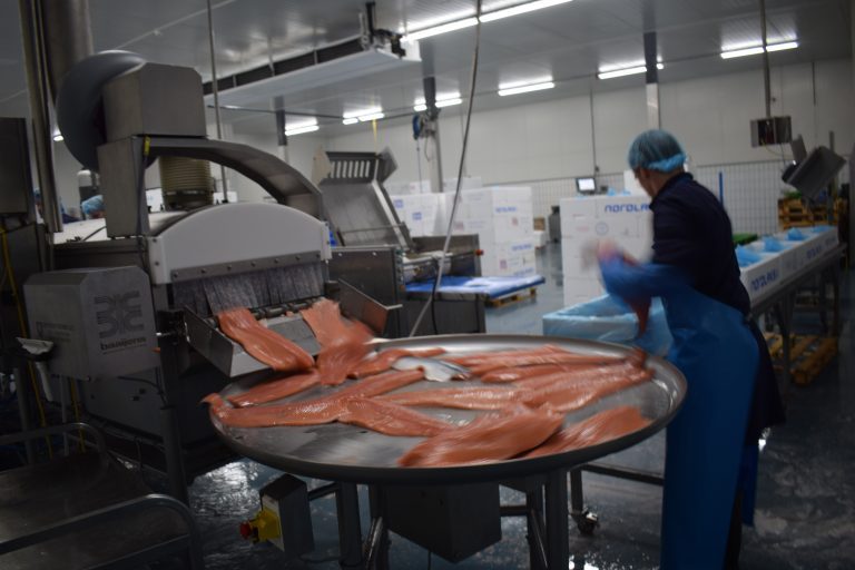Dutch processor Urker Zalmhuys builds new factory