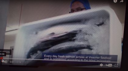 Visscher Seafood (3)