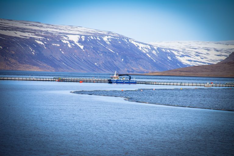 Controversy surrounds Tasmanian fish farm