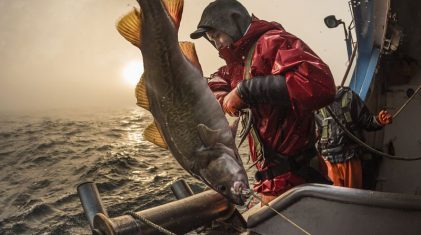 alaska zalmvisserij klein