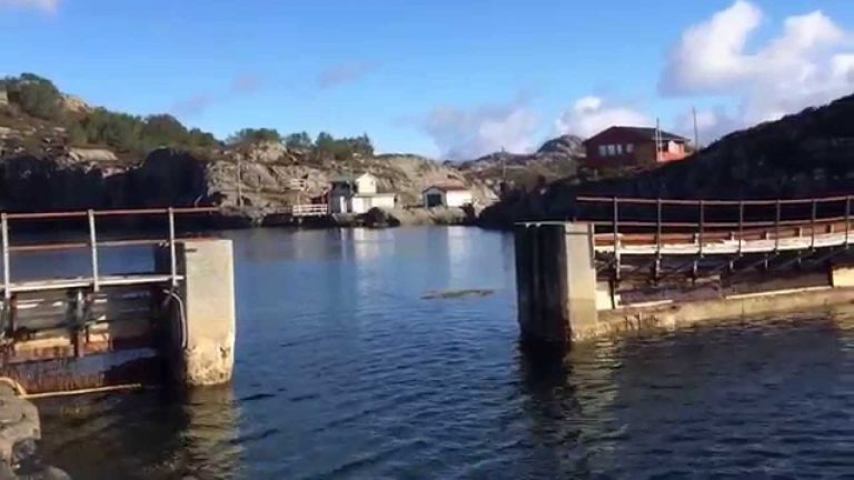 The breakthrough for farmed salmon