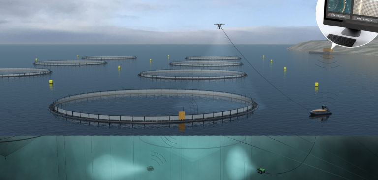 Salmon farms of the future could be unmanned