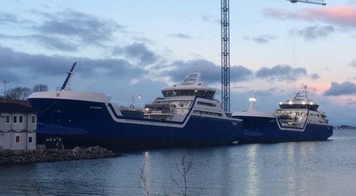 Salmon price could fall below NOK 50