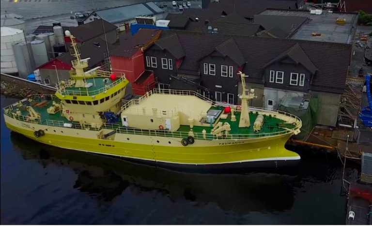Napier building new salmon processing boat