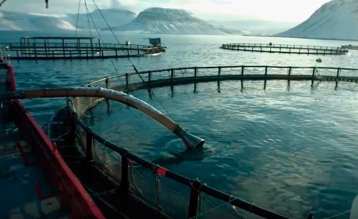 Arnarlax owner boosts Icelandic investments