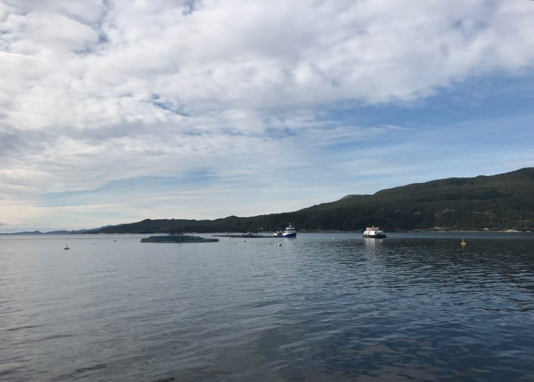 Salmon farming boom hit Alaskan wild salmon hard