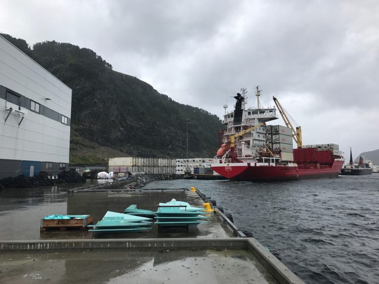 Norwegian seafood exports grew by seven per cent in August