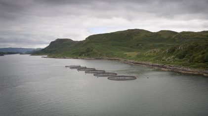 Scottish Salmon Farm