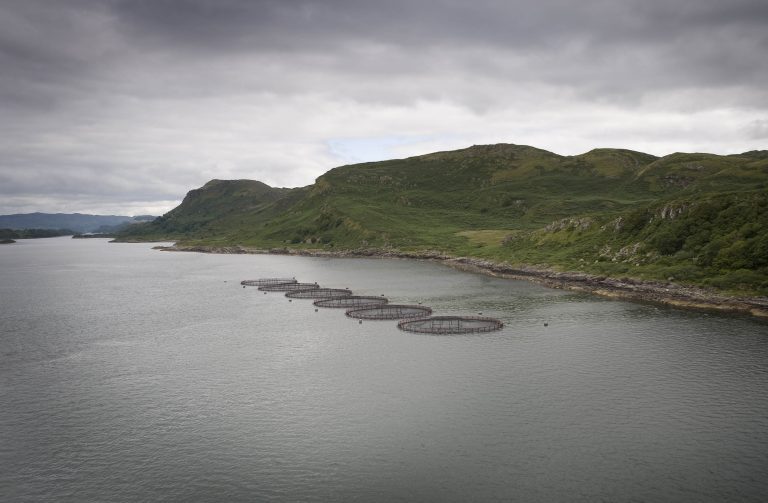 Scottish government calls for certainty on post-Brexit support for seafood sector