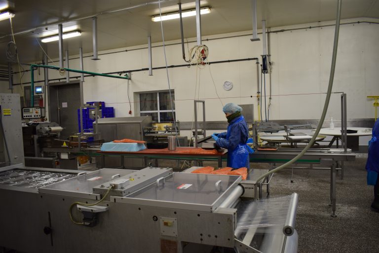 Jan-Willem Kuijt, Roots Smokehouse: “smoking salmon is science”