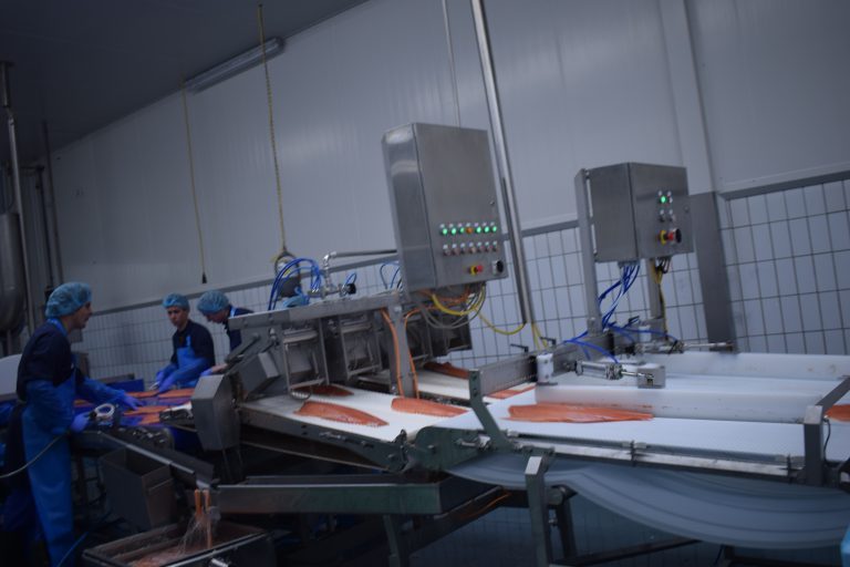 Dutch salmon buyers keep their cool after steep price fall