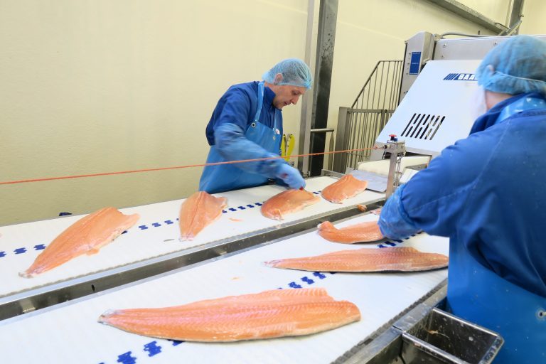 ‘Safest salmon in Europe’