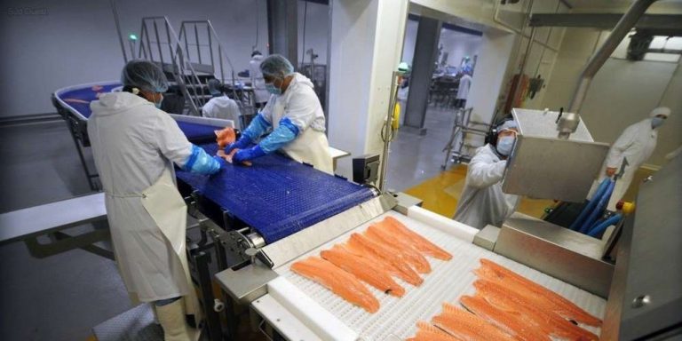 Labeyrie invests four million euros in new salmon cutting unit