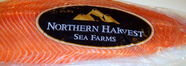 Suitors flock to Northern Harvest