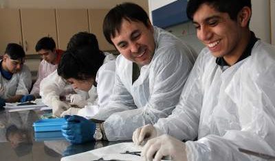 taller_sobre_salmon_en_punta_arenas