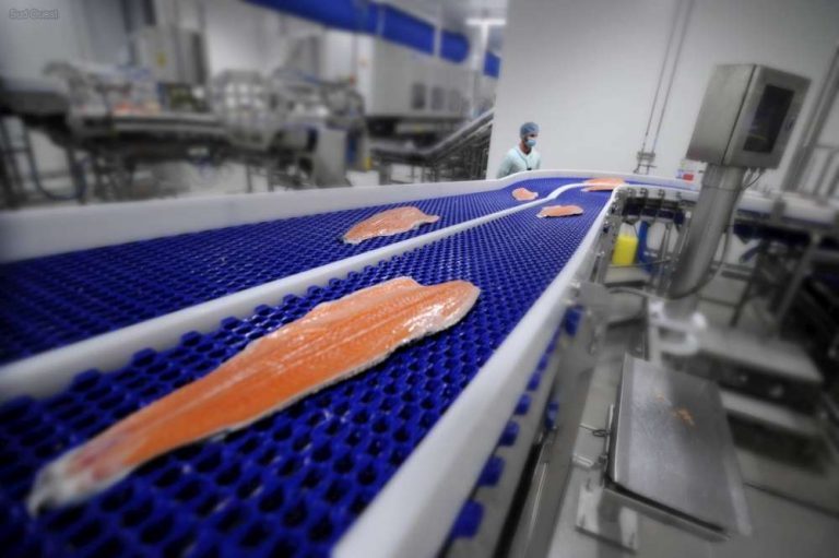 US: increased import of salmon in 2016