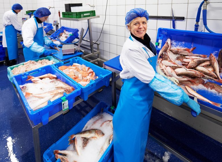 Salmon has surpassed cod as UK’s top import