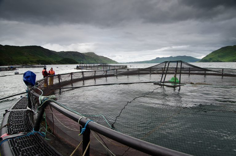 New study will identify skills bottlenecks in Scottish aquaculture