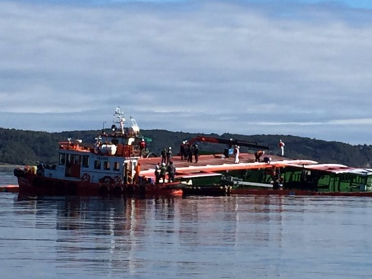 Authorities suspend recovery of 200 tonnes of salmon from ‘Seikongen’