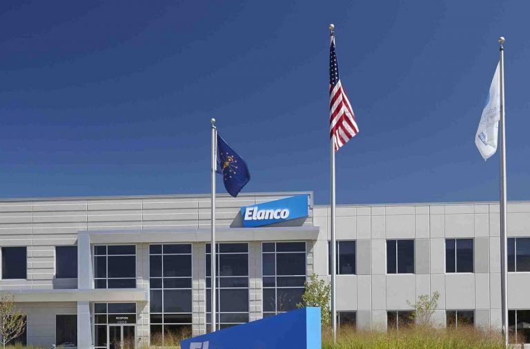 Eli Lilly considers selling Elanco animal health business
