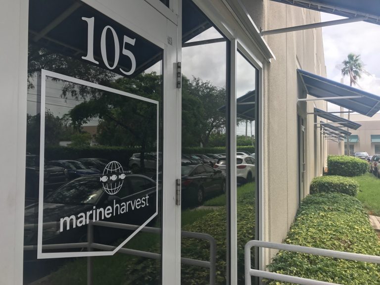 Neutral Marine Harvest Q3 trading update