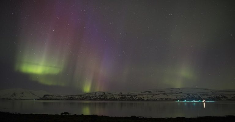 NTS takes control of Icelandic fish farming company