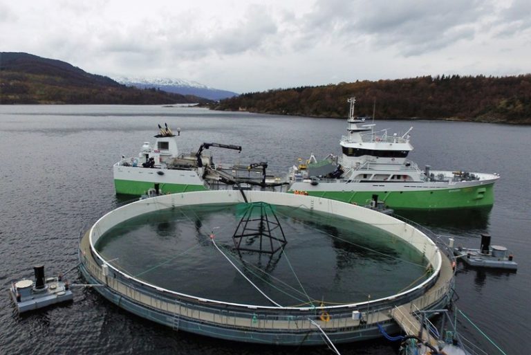Marine Harvest achieved an operating profit of €191m in Q3
