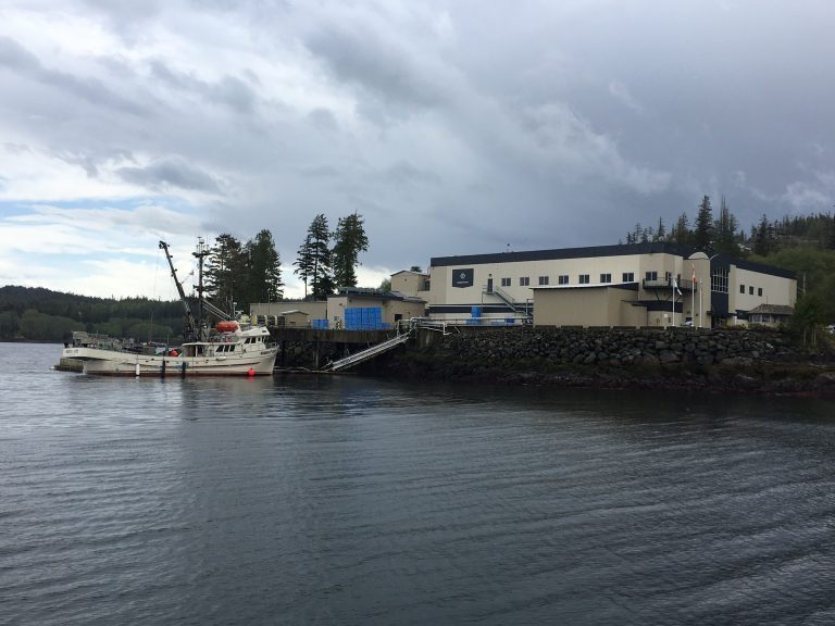 Marine Harvest Canada reports escape of single Atlantic salmon