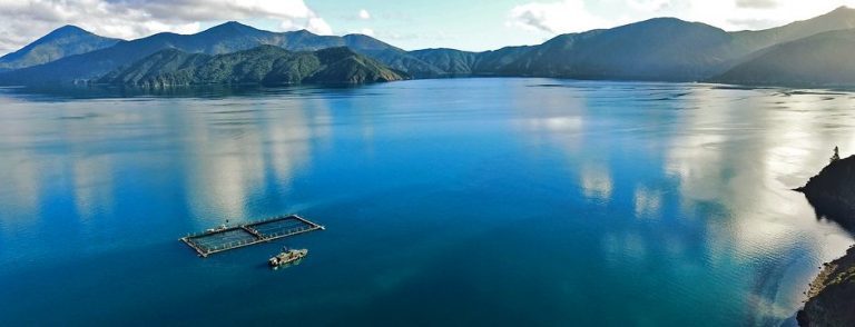 Uncertainty about relocation of New Zealand salmon farms