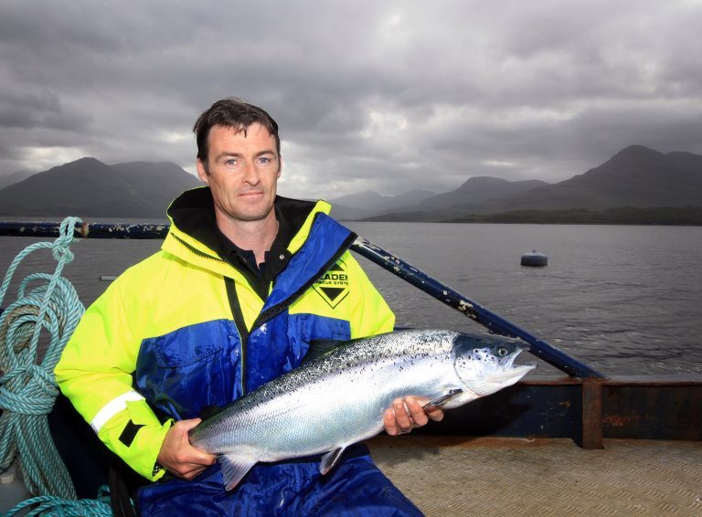 Latest Scottish fish farm survey shows fall in tonnage last year