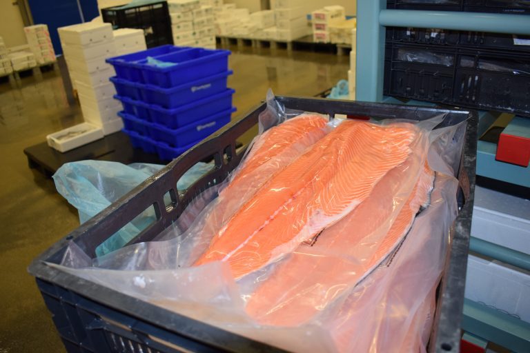 Salmon best-selling fish in Spanish supermarket chain La Sirena