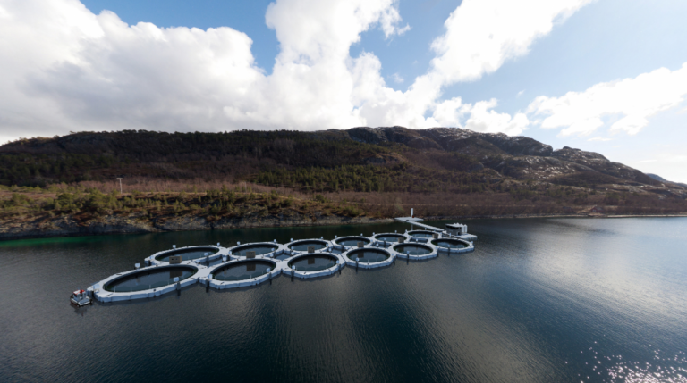 Norwegian company applies for closed-containment license in Iceland