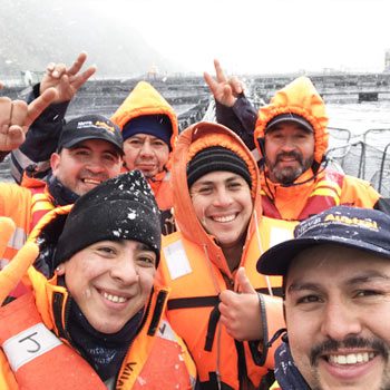 Seafood Watch rates Nova Austral salmon ‘Good Alternative’