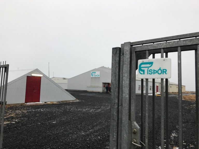 NTS sees great growth opportunities in Iceland