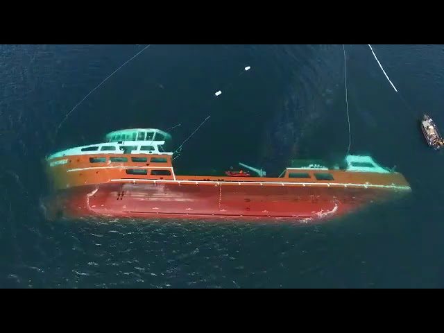 Wellboat capsize kills 37,000 harvest-size salmon