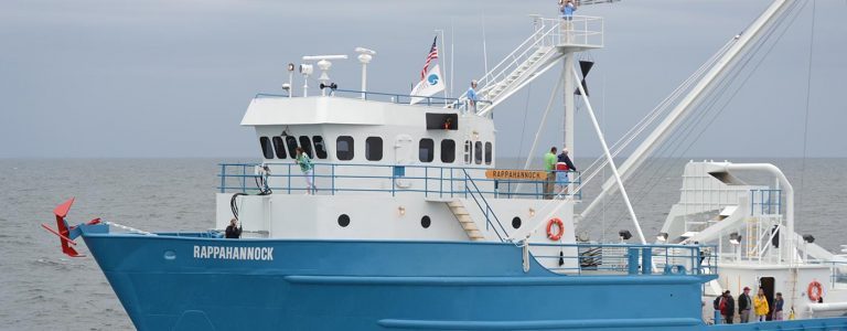 $500m deal: Cooke aquires Omega Protein Corporation