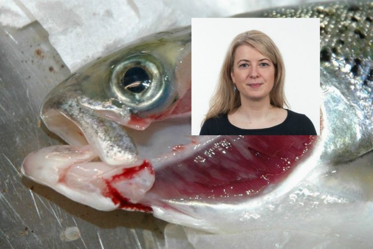 Finding links to disease