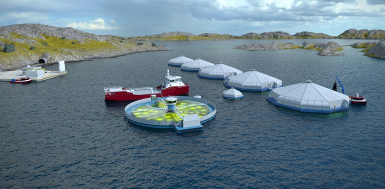 Circular system offers salmon in unfit water