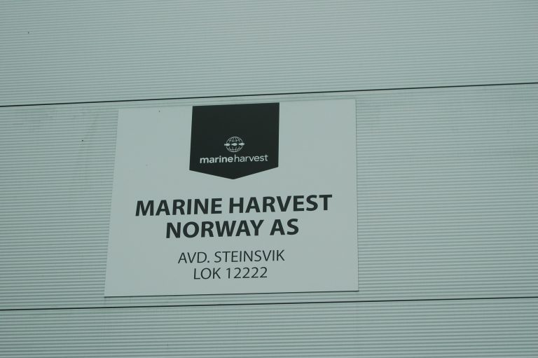 Marine Harvest net profit down, forecast 11% growth